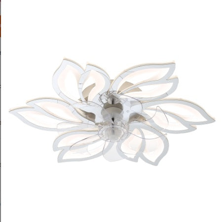 Acrylic Ceiling Fan