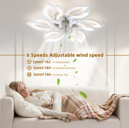 Acrylic Ceiling Fan