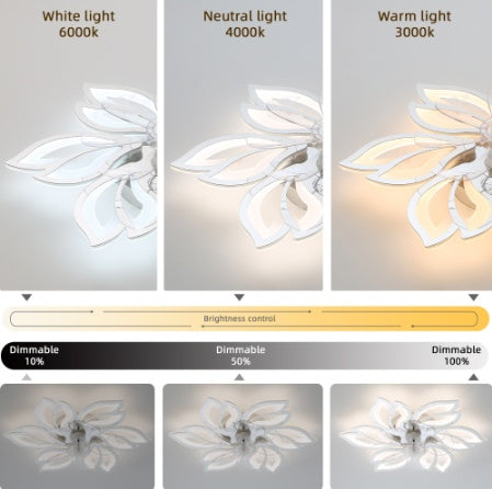 Acrylic Ceiling Fan