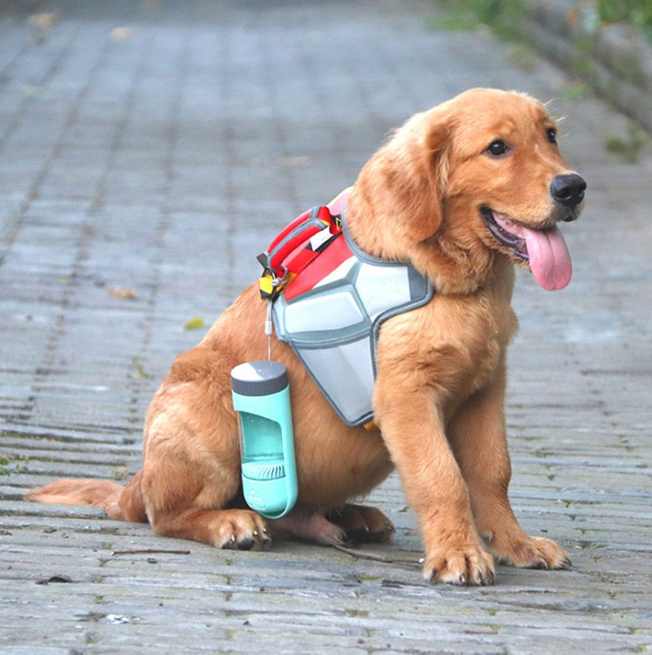 Portable Doggy Drink Bottle w/Filter